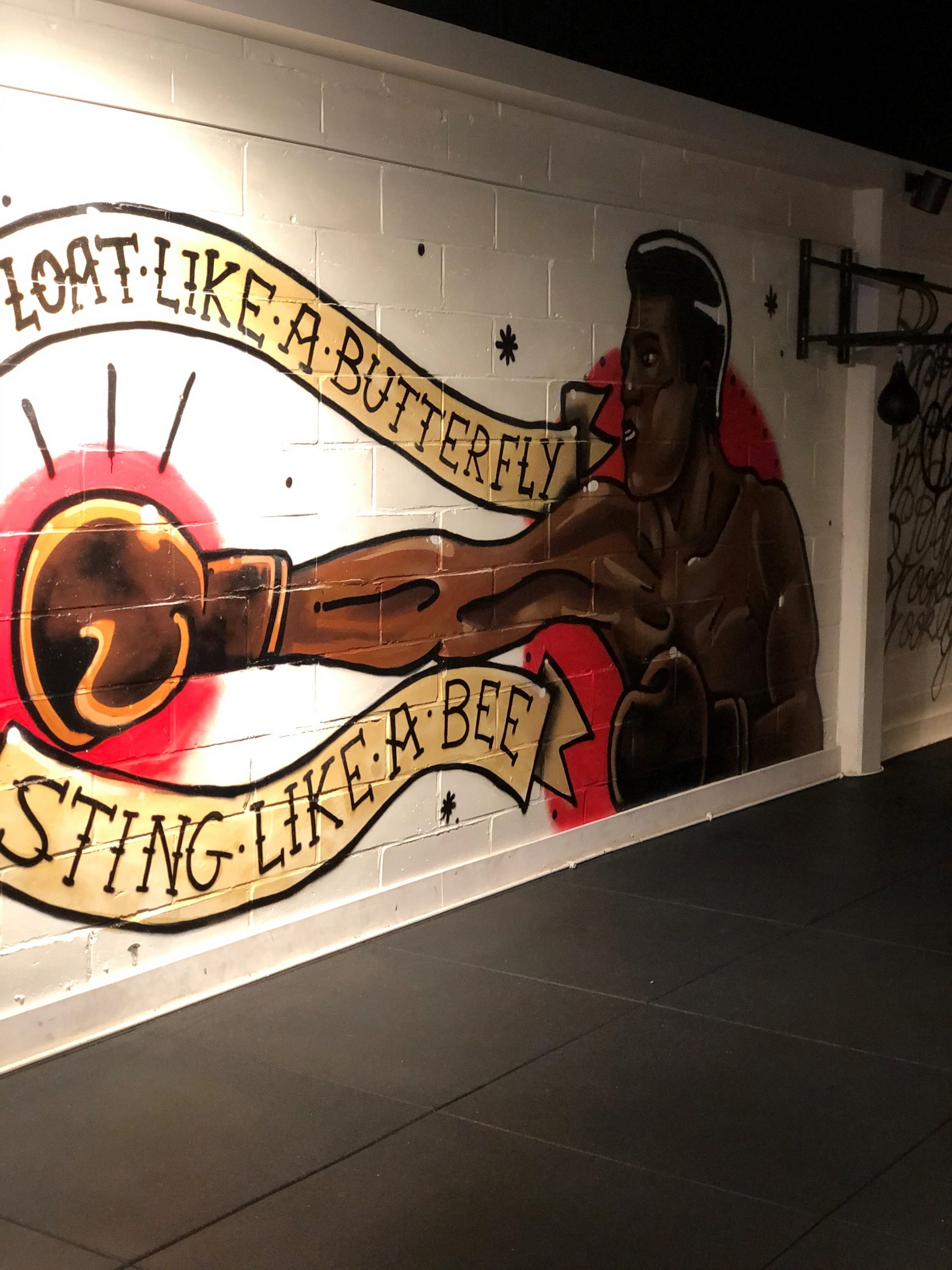 Brooklyn Gym The Greatest Gym in History Training in Schulen